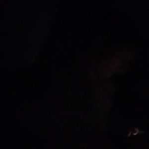 Meet your Posher, Kris